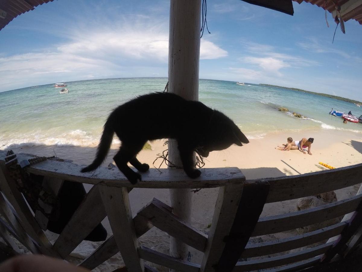 Despertarte Espacio De Arte Y Hospedaje Playa Blanca Bagian luar foto
